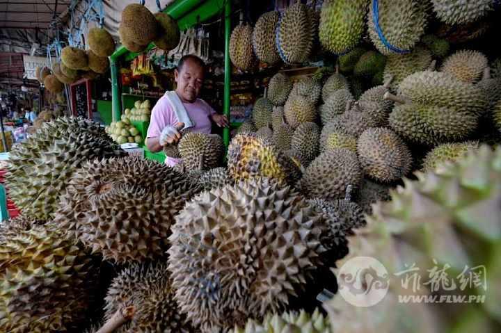 Cobilla-2-DURIAN-VENDOR.jpeg